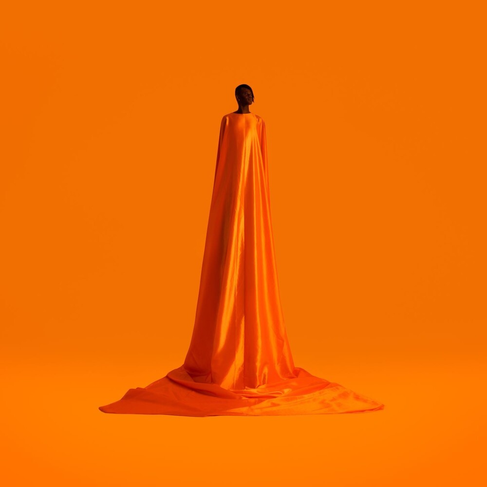 Wayne Snow- Figurine (Uk) { VINYL LP }