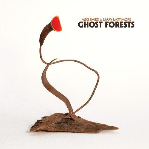 Meg Baird: Ghost Forests - Record