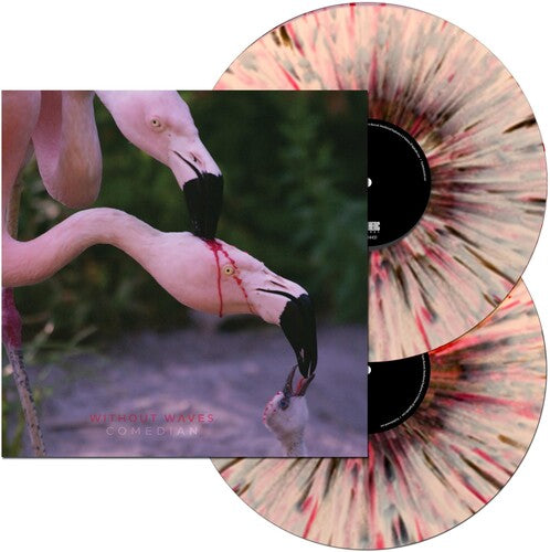 Without Waves: Comedian - VINYL