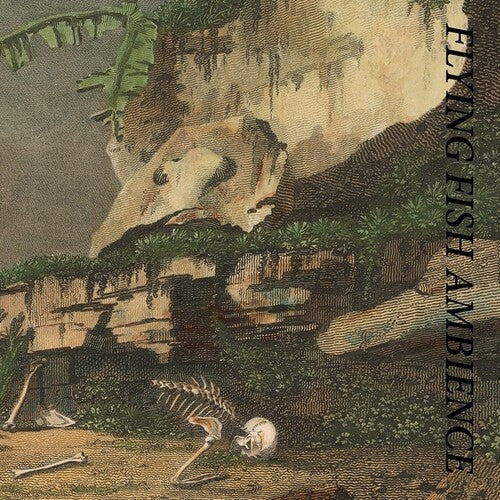 Rainforest Spiritual Enslavement: Flying Fish Ambience - Record