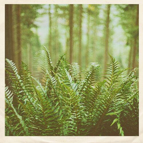 mtbrd- Just Visiting { VINYL LP }