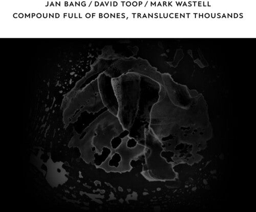 Bang, Jan / Toop, David / Wastell, Mark: Compound Full of Bones Translucent Thousands - Record