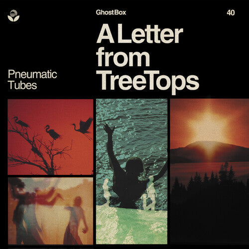 Pneumatic Tubes: Letter From Treetops - Record