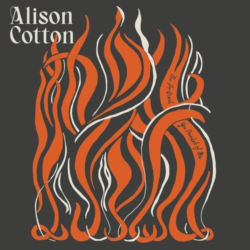 Alison Cotton: Portrait You Painted of Me - Record