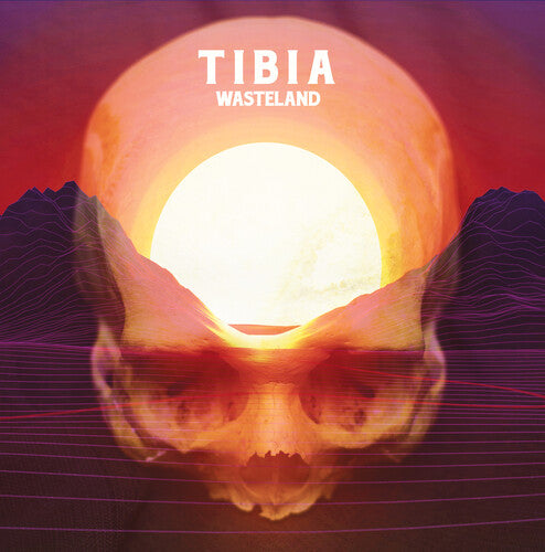 Tibia: Wasteland - Record