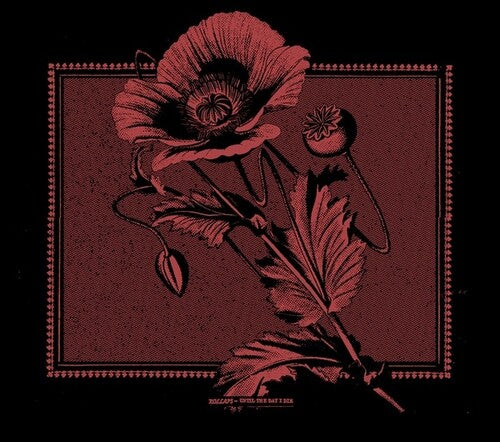 Kollaps: Until The Day I Die - Record