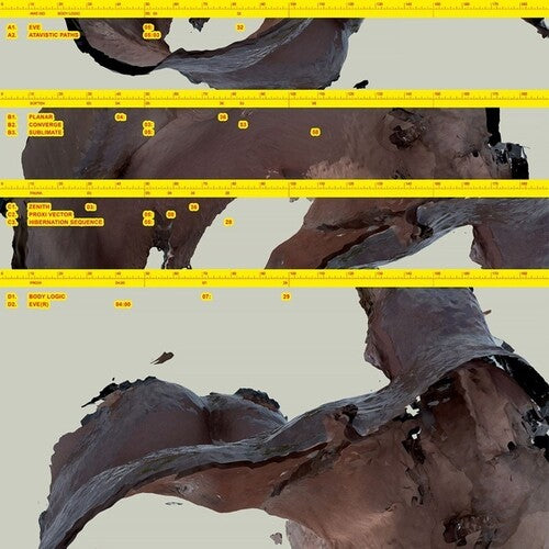 Awe Kid: Body Logic - Record