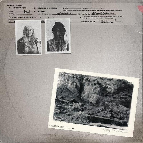 700 Bliss: Nothing To Declare - Record