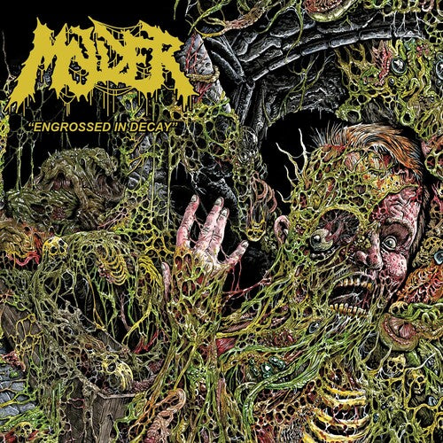 Molder: Engrossed In Decay - CD
