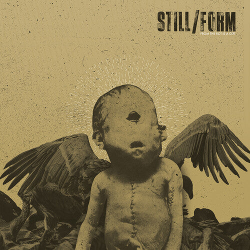 Still/Form: From The Rot Is A Gift - CD