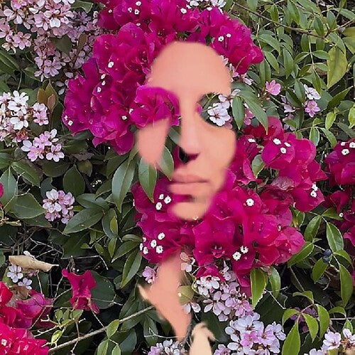 Daisy Press: You Are The Flower Music From Hildegard Von Bingen - Record