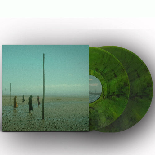 Devils Witches: In All Her Forms - Green/black Marbled - VINYL