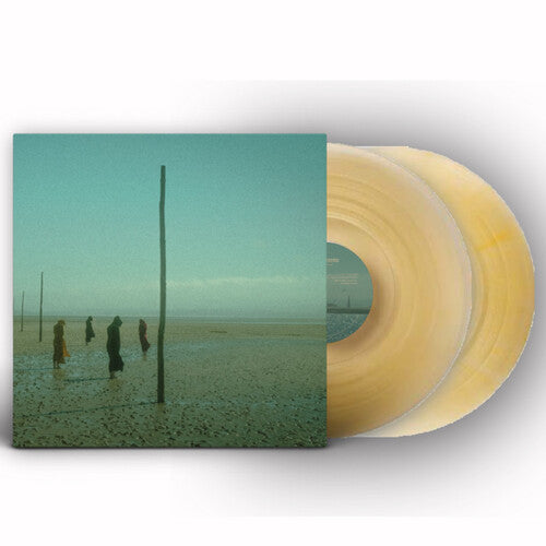 Devils Witches: In All Her Forms - Gold/clear Marbled - VINYL