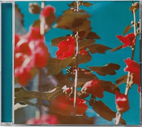 Chad Lawson: breathe - Record