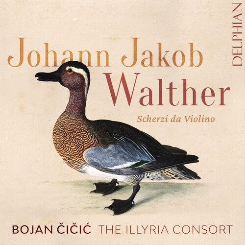 Bojan Cicic: Johann Jakob Walther: Scherzi Da Violino Solo - Record