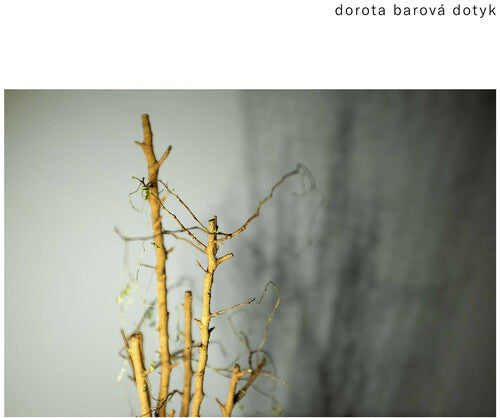 Miroslav Chyska: Dotyk - Record