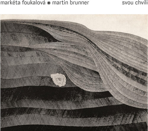 Vit Kristan: Svou Chvili - Record