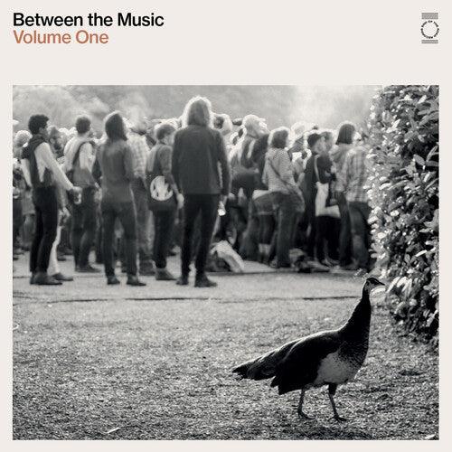 Various Artists- End Of The Road Presents: Between The Music / Var { VINYL LP }