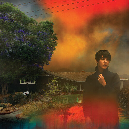 Sharon Van Etten: We've Been Going About This All Wrong - Custard - VINYL