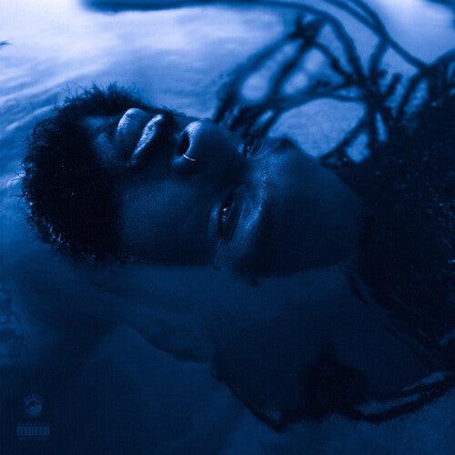Rexx Life Raj: The Blue Hour - Record