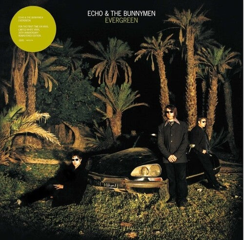 Echo & the Bunnymen: Evergreen - VINYL