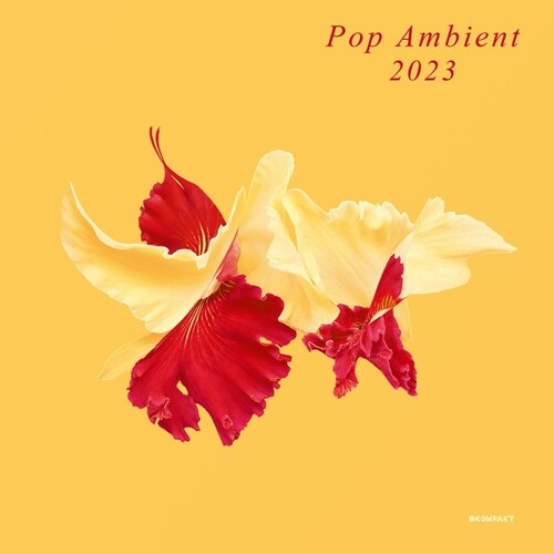Various Artists: Pop Ambient 2023 - Record