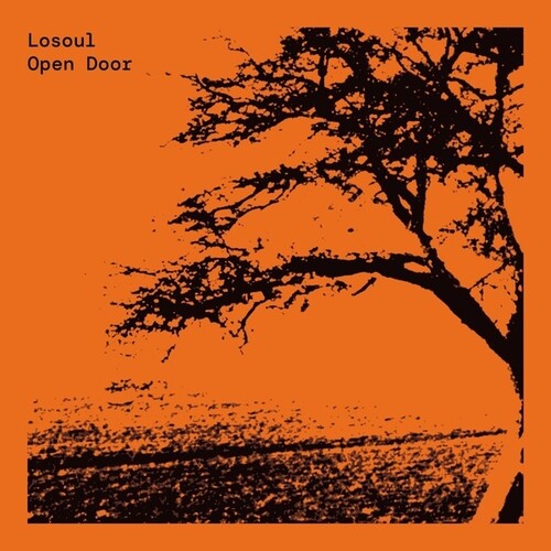 Losoul: Open Door - Record
