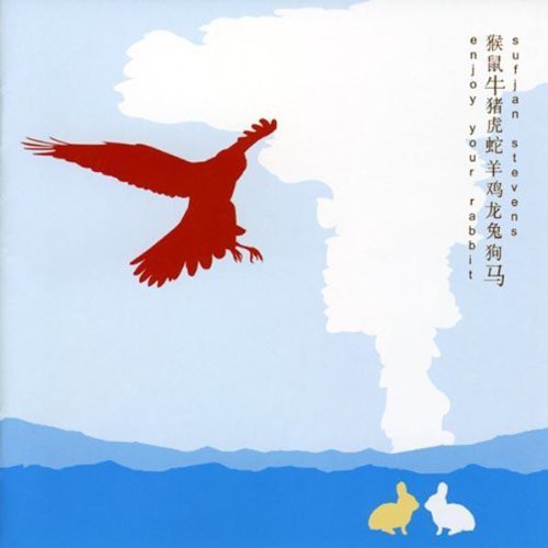 Sufjan Stevens: Enjoy Your Rabbit - Record