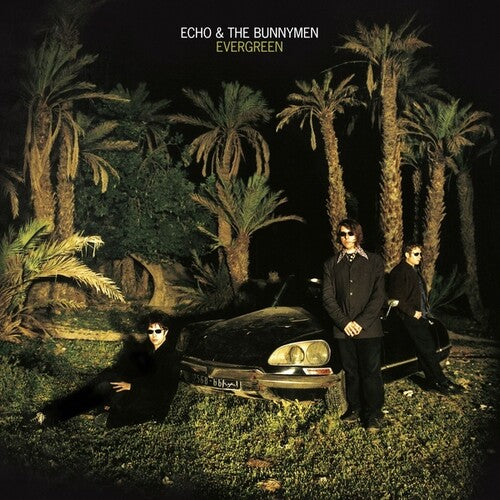 Echo & the Bunnymen: Evergreen - CD