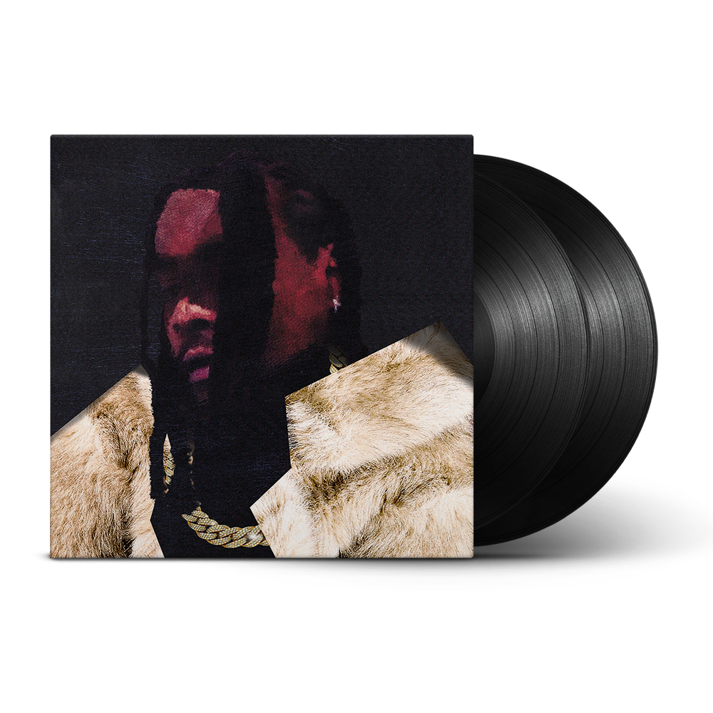 Wale- everything is a lot. [2 LP] { VINYL LP }