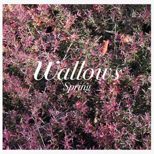 Wallows: Spring - CD