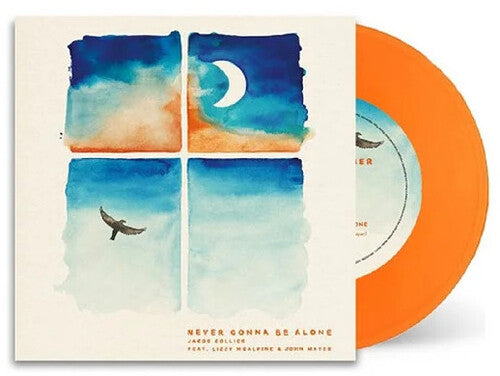 Jacob Collier: Never Gonna Be Alone - 7-INCH SINGLE