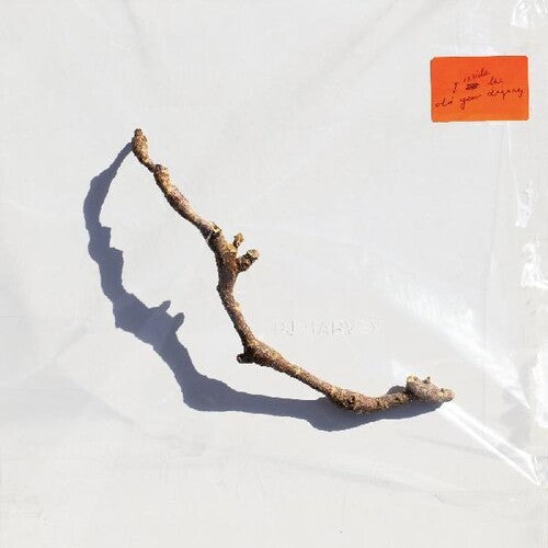 PJ Harvey: I Inside The Old Year Dying - VINYL