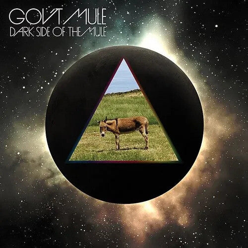 Gov't Mule: Dark Side Of The Mule - VINYL