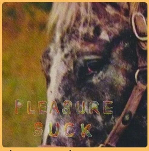 Spirit of the Beehive- Pleasure Suck { VINYL LP }