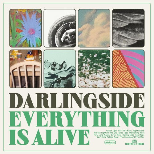 Darlingside: Everything Is Alive - Record