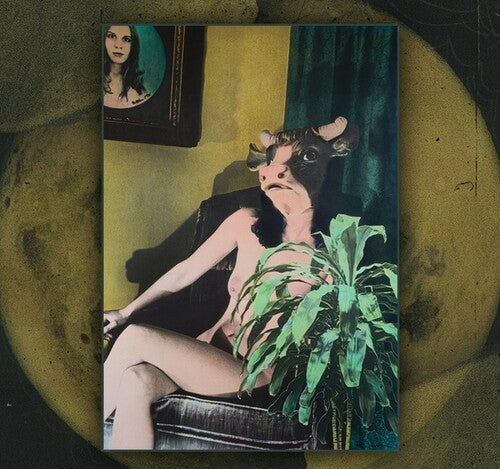 400 Lonely Things: Mother Moon - Record