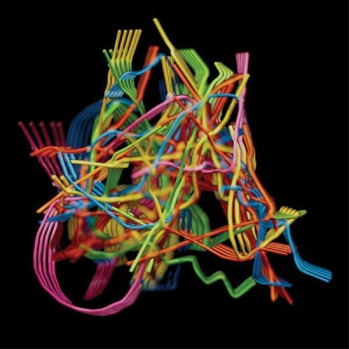Dustin Wong: Perpetual Morphosis - Record