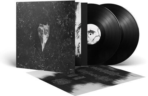 Bees Made Honey in the Vein Tree: Aion - VINYL