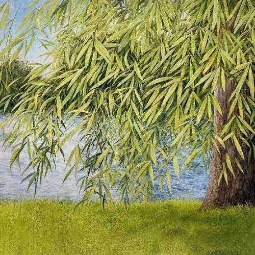 Martin Simpson: Nothing But Green Willow : The Songs Of Mary Sands And Jane Gentry - Record