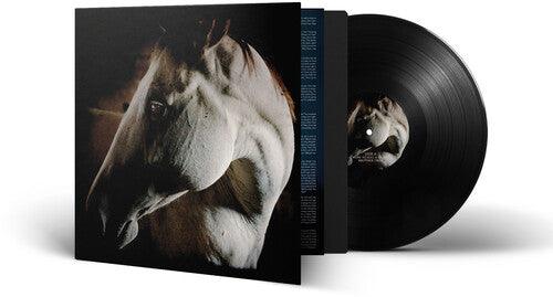 Brother Dege- How To Kill A Horse { VINYL LP }
