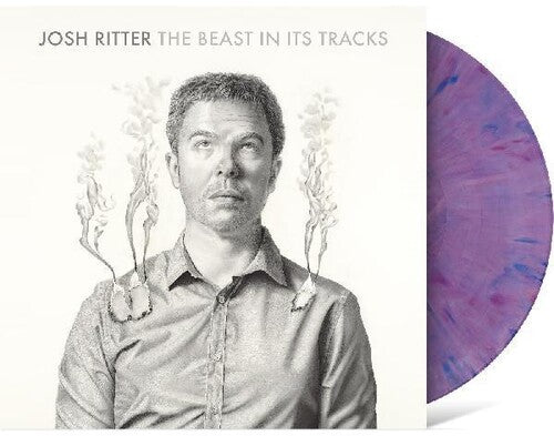 Josh Ritter: The Beast in Its Tracks - Record