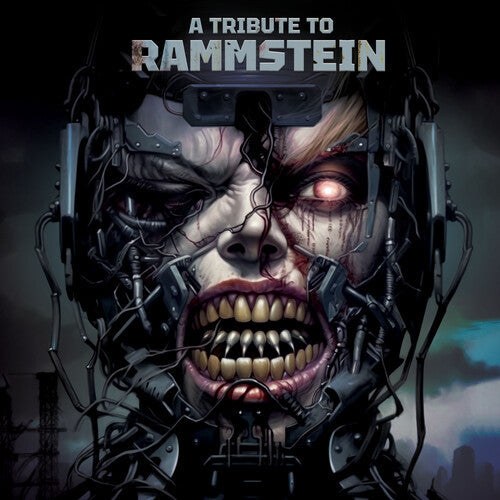 Various Artists: A Tribute To Rammstein (Various Artists) - VINYL