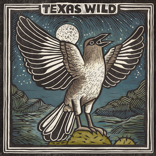 Various Artists: Texas Wild (Various Artists) - VINYL