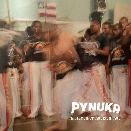 Pynuka: N.i.t.s.t.w.d.s.w. - Record