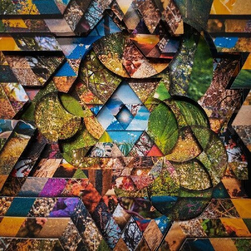 Miguel Atwood-Ferguson: Les Jardins Mystiques 1 - CD