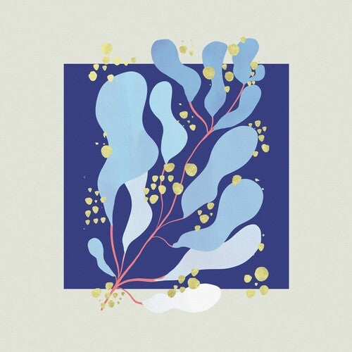Salamanda: In Parallel - Record