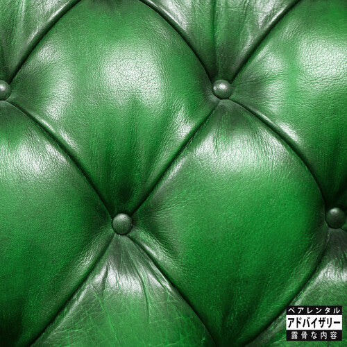 Sonnyjim / Camoflauge Monk: Money Green Leather Sofa - Record