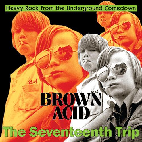 Various Artists- Brown Acid - The Seventeenth Trip (Various Artists) { VINYL LP }