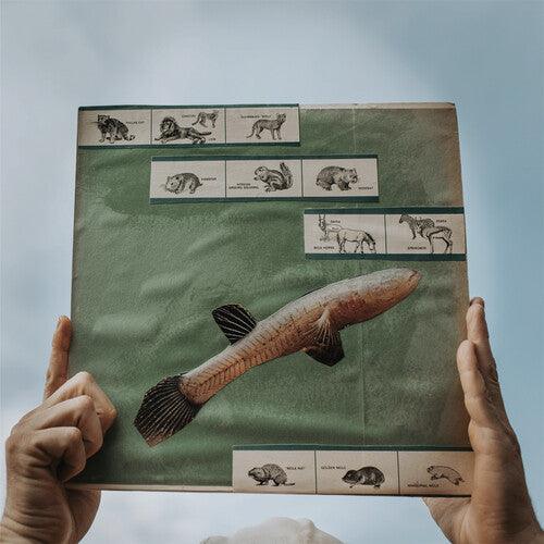 Cotton Jones- The River Strumming { VINYL LP }